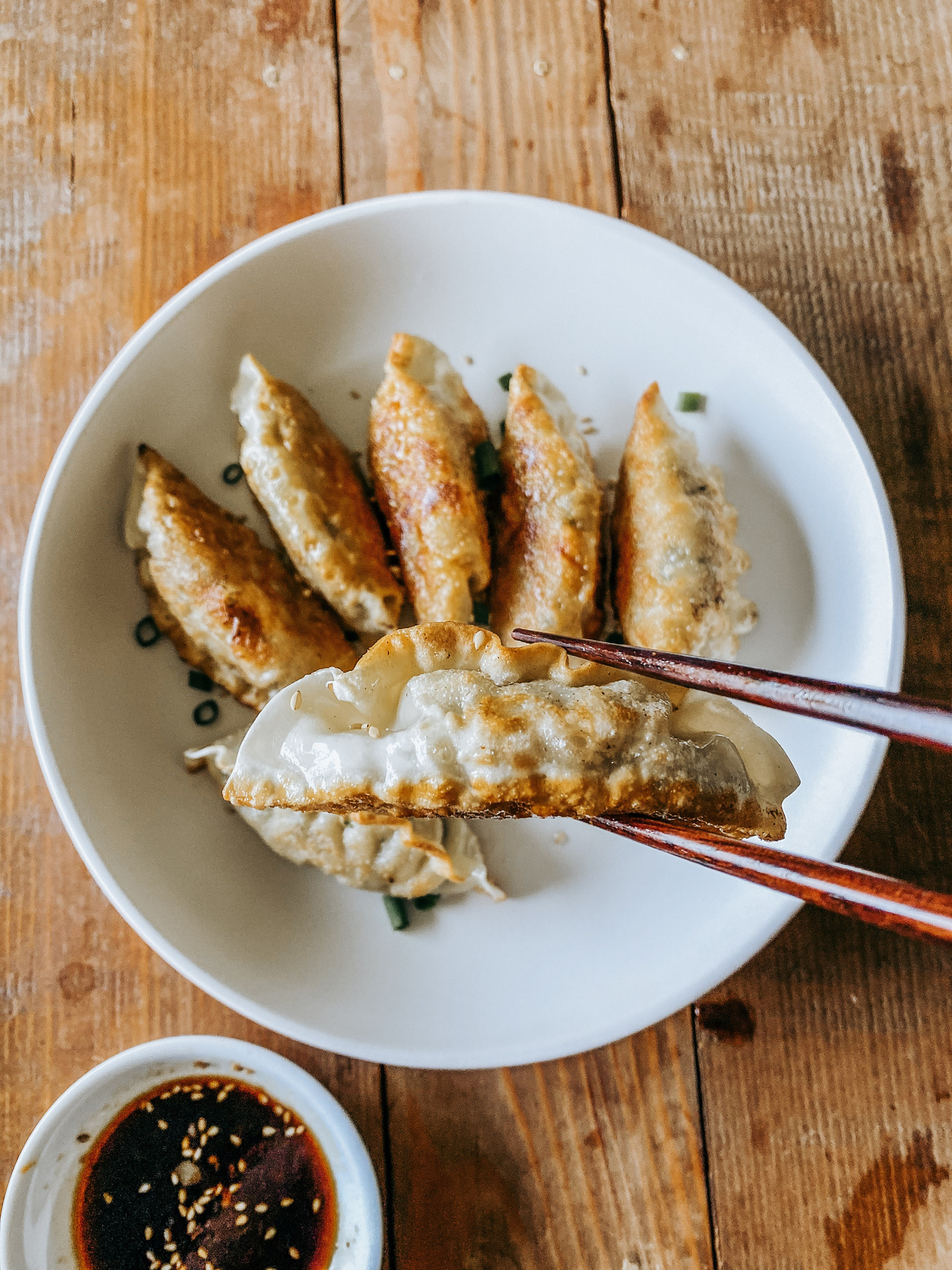 Homemade pot stickers